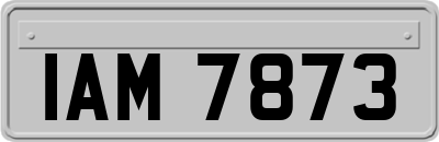 IAM7873