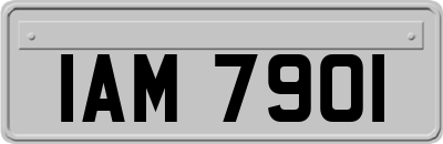IAM7901