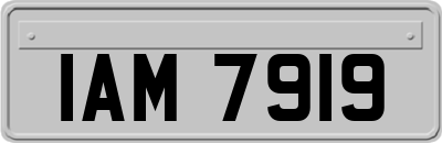 IAM7919