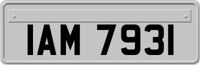 IAM7931
