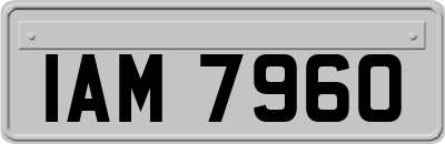 IAM7960