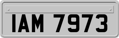 IAM7973