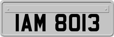 IAM8013