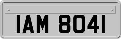IAM8041