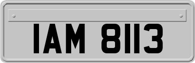 IAM8113