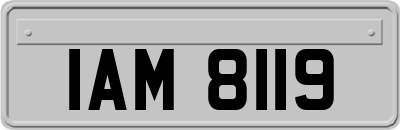 IAM8119