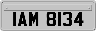 IAM8134