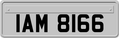 IAM8166
