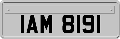 IAM8191