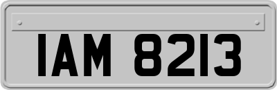 IAM8213