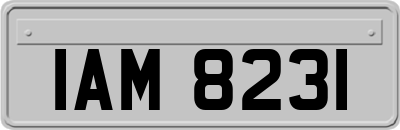 IAM8231