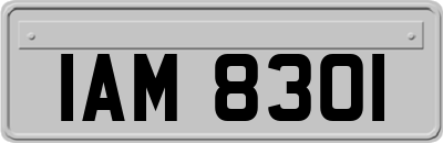 IAM8301