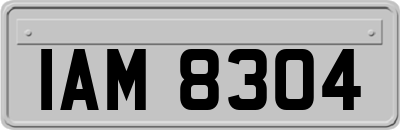 IAM8304