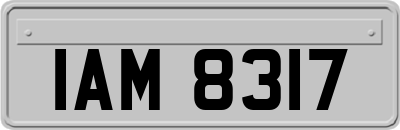 IAM8317