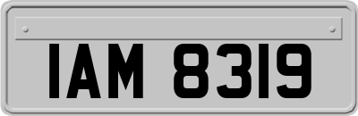 IAM8319