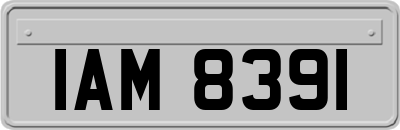 IAM8391