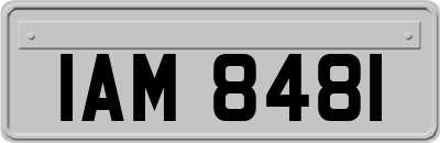 IAM8481