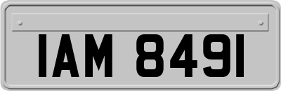 IAM8491