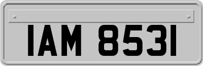 IAM8531