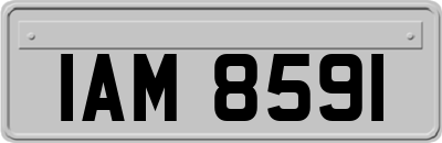 IAM8591