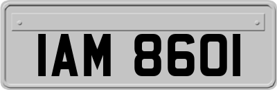 IAM8601