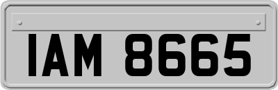 IAM8665
