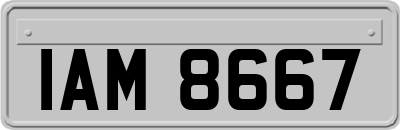 IAM8667