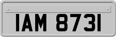 IAM8731