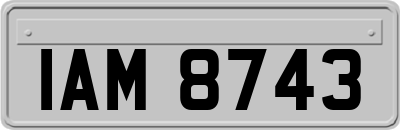 IAM8743