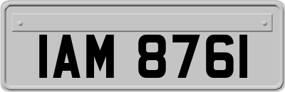 IAM8761