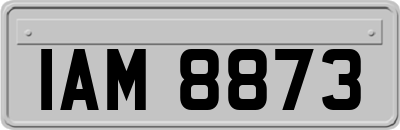 IAM8873