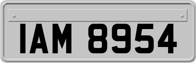 IAM8954
