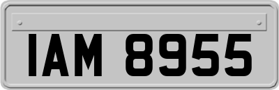 IAM8955