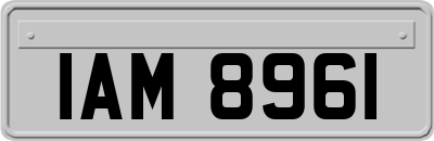 IAM8961