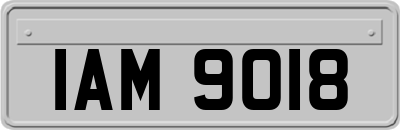 IAM9018