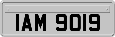 IAM9019