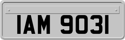 IAM9031