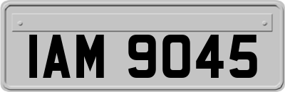 IAM9045