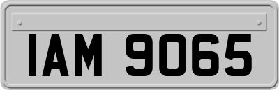 IAM9065