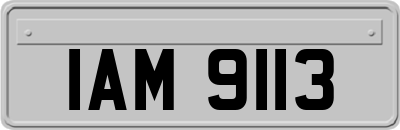 IAM9113