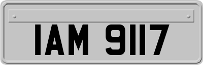 IAM9117
