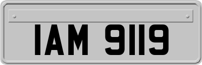 IAM9119