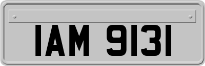 IAM9131