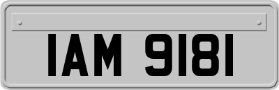 IAM9181