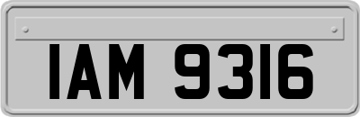 IAM9316