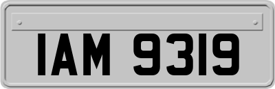 IAM9319