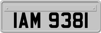 IAM9381