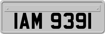 IAM9391