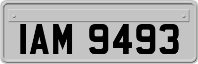 IAM9493