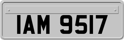 IAM9517